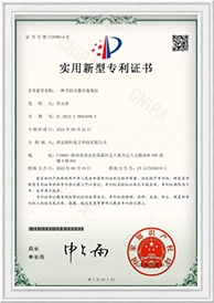 21.05a5209